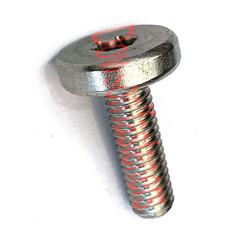 Ss304 Round Head Bolt